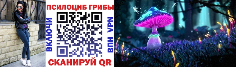 Купить закладки  Сухиничи  Псилоцибиновые грибы GOLDEN TEACHER 